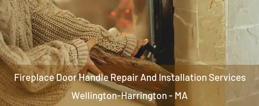 Fireplace Door Handle Repair And Installation Services Wellington-Harrington - MA