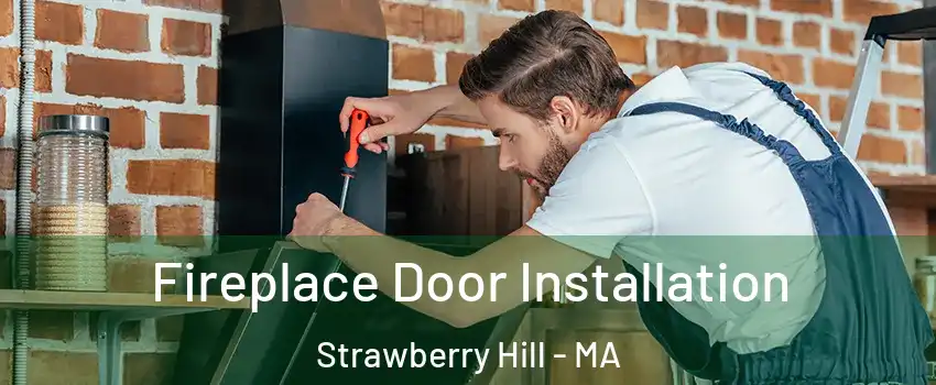 Fireplace Door Installation Strawberry Hill - MA