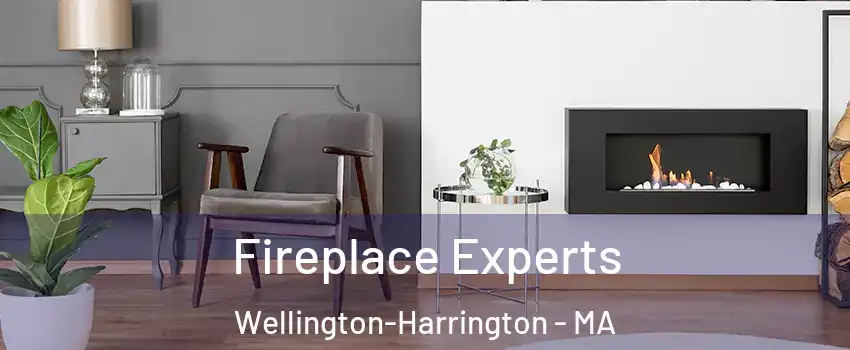 Fireplace Experts Wellington-Harrington - MA