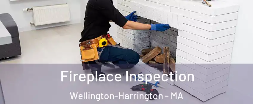 Fireplace Inspection Wellington-Harrington - MA