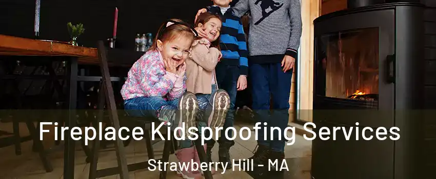 Fireplace Kidsproofing Services Strawberry Hill - MA