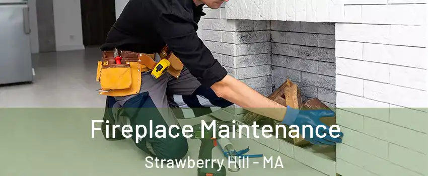 Fireplace Maintenance Strawberry Hill - MA