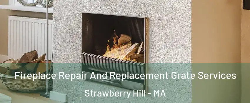 Fireplace Repair And Replacement Grate Services Strawberry Hill - MA