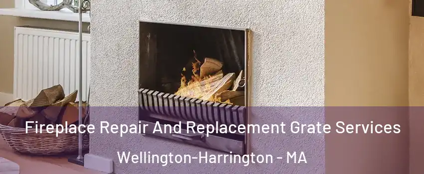 Fireplace Repair And Replacement Grate Services Wellington-Harrington - MA