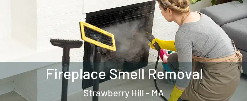 Fireplace Smell Removal Strawberry Hill - MA