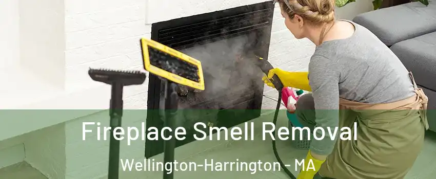 Fireplace Smell Removal Wellington-Harrington - MA