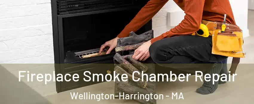 Fireplace Smoke Chamber Repair Wellington-Harrington - MA