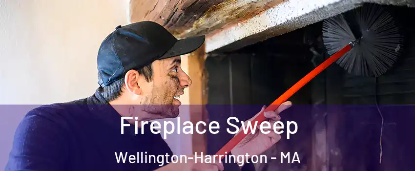 Fireplace Sweep Wellington-Harrington - MA