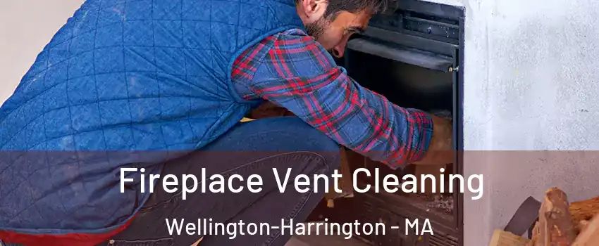 Fireplace Vent Cleaning Wellington-Harrington - MA