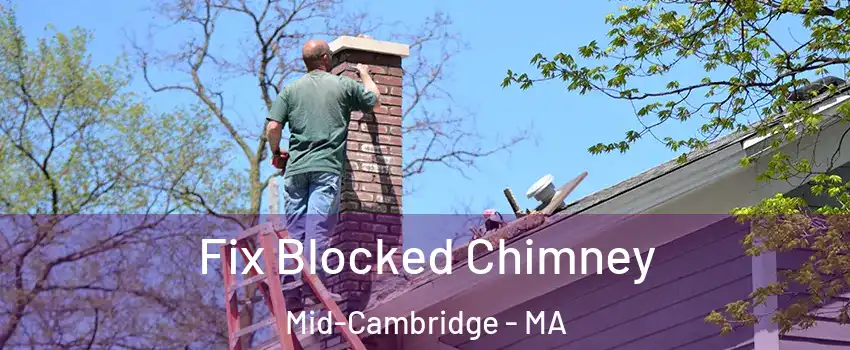 Fix Blocked Chimney Mid-Cambridge - MA