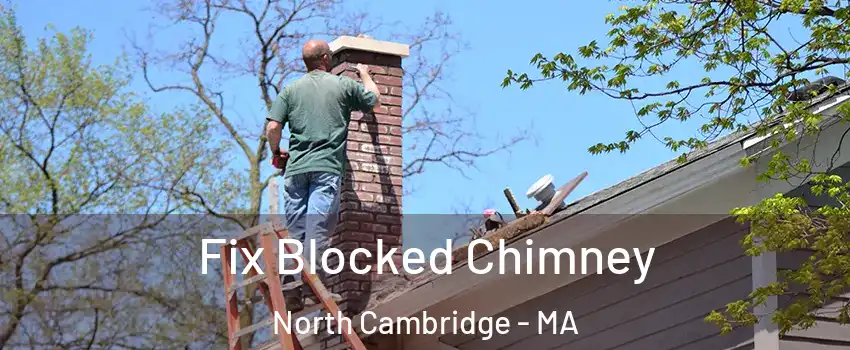 Fix Blocked Chimney North Cambridge - MA