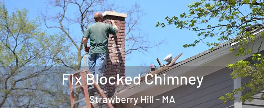 Fix Blocked Chimney Strawberry Hill - MA