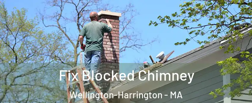 Fix Blocked Chimney Wellington-Harrington - MA