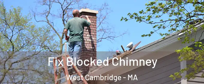 Fix Blocked Chimney West Cambridge - MA