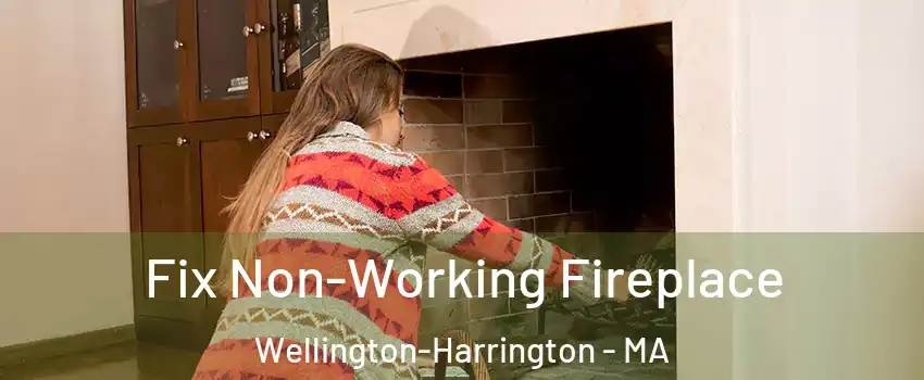 Fix Non-Working Fireplace Wellington-Harrington - MA