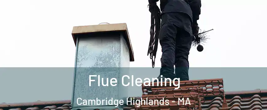 Flue Cleaning Cambridge Highlands - MA