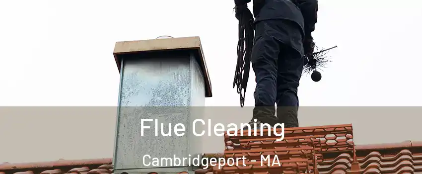 Flue Cleaning Cambridgeport - MA