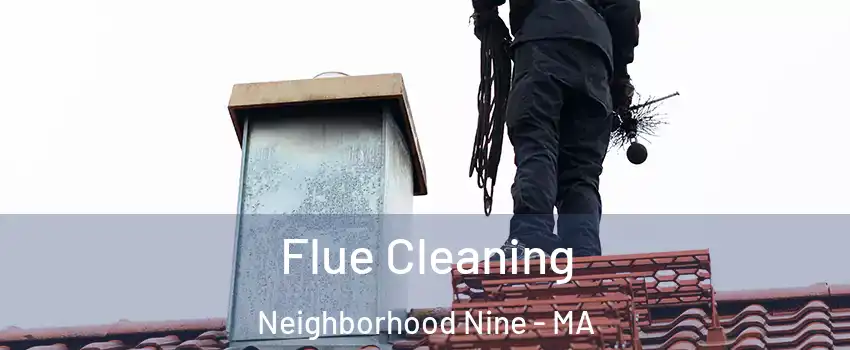 Flue Cleaning Neighborhood Nine - MA