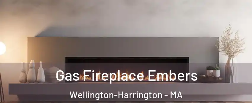 Gas Fireplace Embers Wellington-Harrington - MA