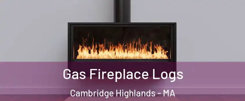 Gas Fireplace Logs Cambridge Highlands - MA