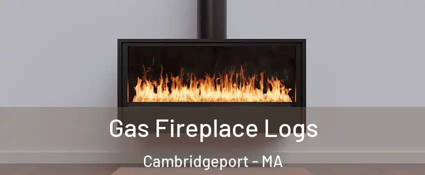 Gas Fireplace Logs Cambridgeport - MA