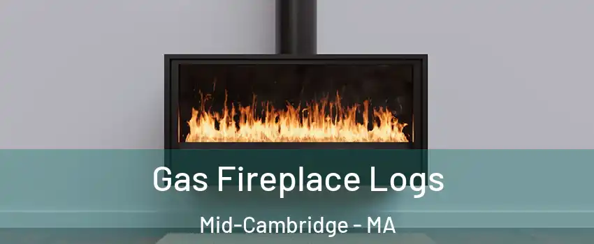 Gas Fireplace Logs Mid-Cambridge - MA