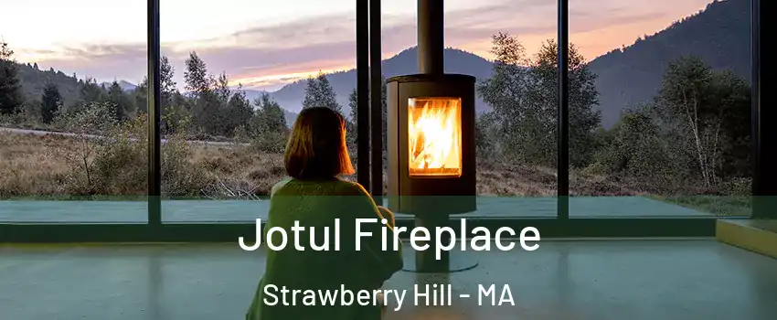 Jotul Fireplace Strawberry Hill - MA