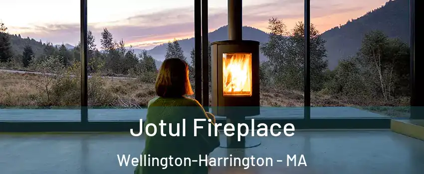 Jotul Fireplace Wellington-Harrington - MA