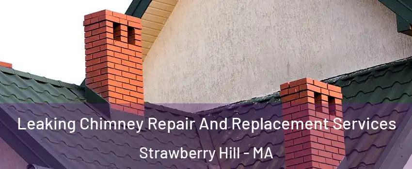 Leaking Chimney Repair And Replacement Services Strawberry Hill - MA