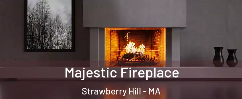 Majestic Fireplace Strawberry Hill - MA