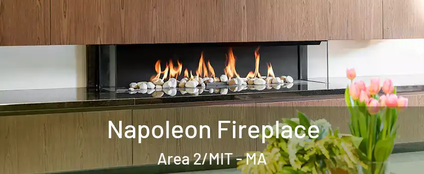 Napoleon Fireplace Area 2/MIT - MA