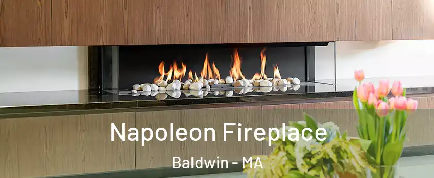 Napoleon Fireplace Baldwin - MA