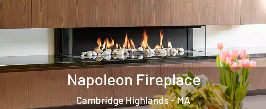 Napoleon Fireplace Cambridge Highlands - MA