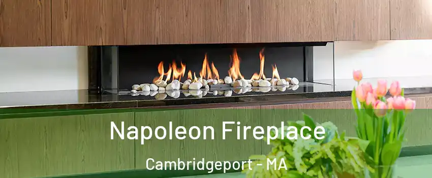 Napoleon Fireplace Cambridgeport - MA