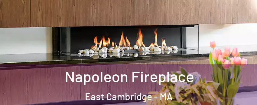 Napoleon Fireplace East Cambridge - MA