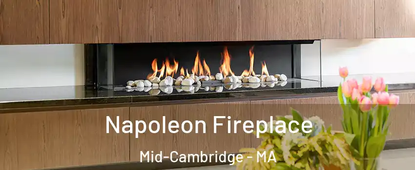 Napoleon Fireplace Mid-Cambridge - MA