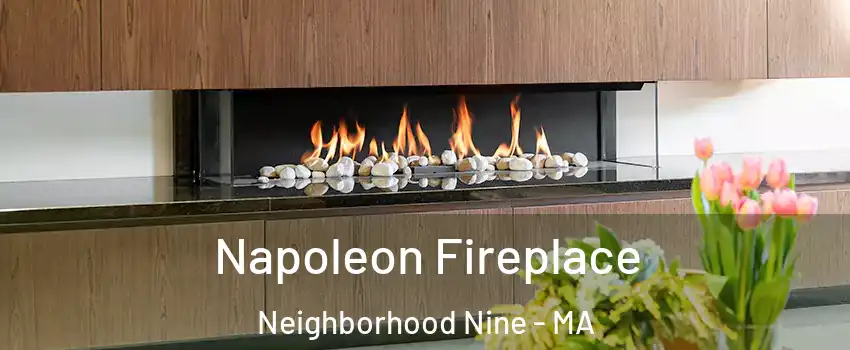 Napoleon Fireplace Neighborhood Nine - MA