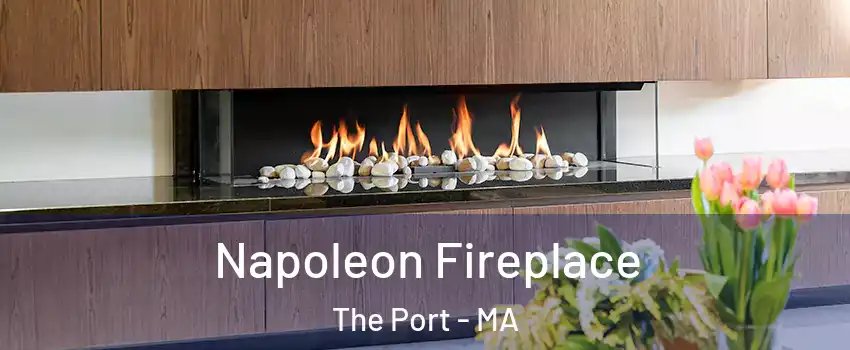 Napoleon Fireplace The Port - MA