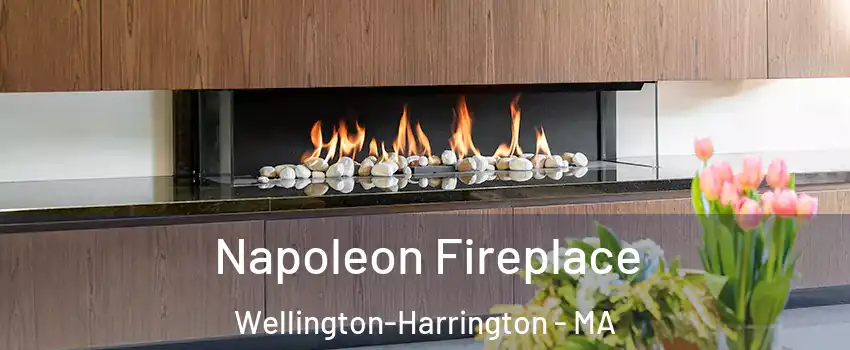 Napoleon Fireplace Wellington-Harrington - MA