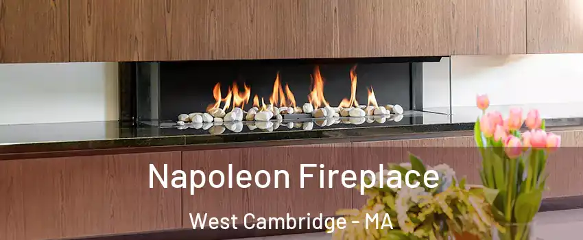 Napoleon Fireplace West Cambridge - MA