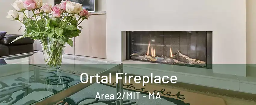 Ortal Fireplace Area 2/MIT - MA