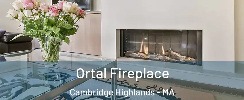 Ortal Fireplace Cambridge Highlands - MA