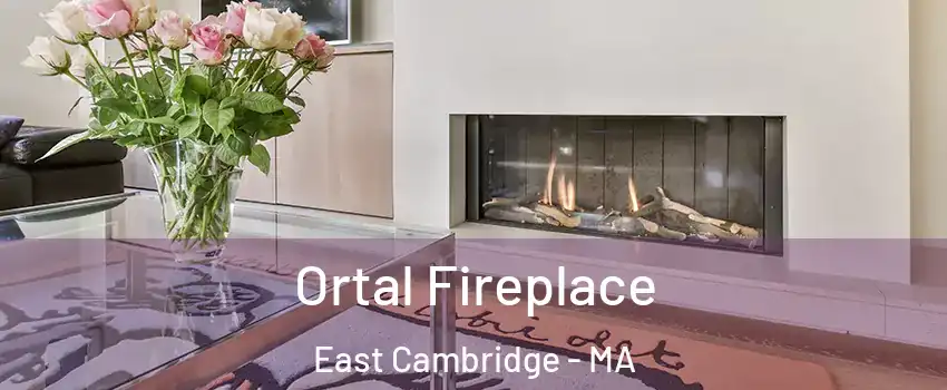 Ortal Fireplace East Cambridge - MA