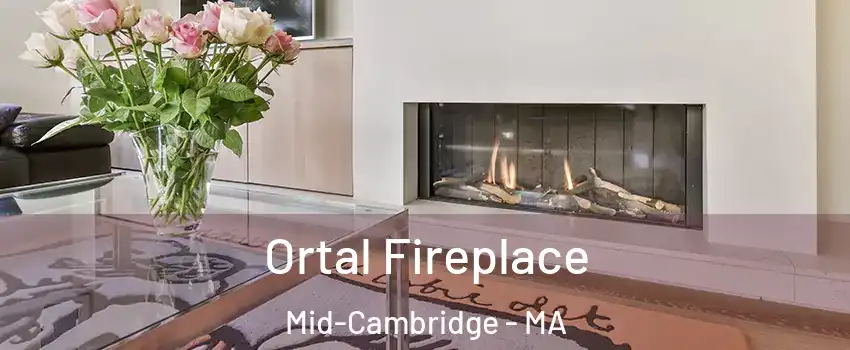 Ortal Fireplace Mid-Cambridge - MA