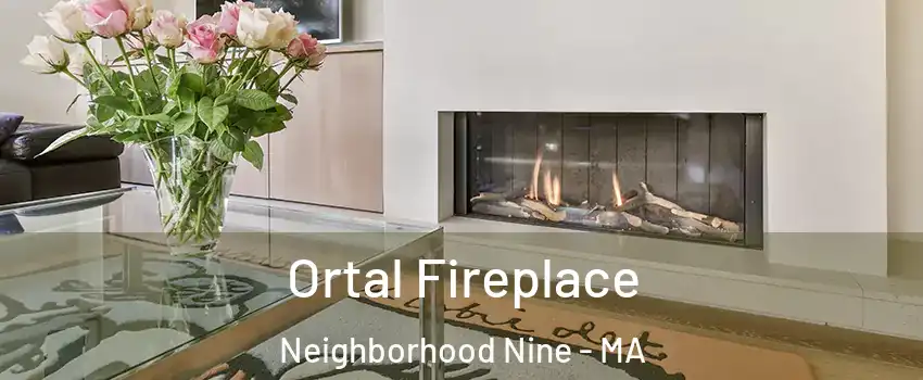 Ortal Fireplace Neighborhood Nine - MA