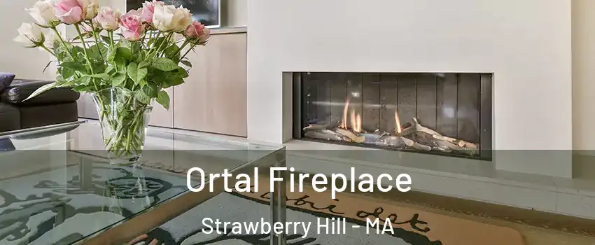 Ortal Fireplace Strawberry Hill - MA