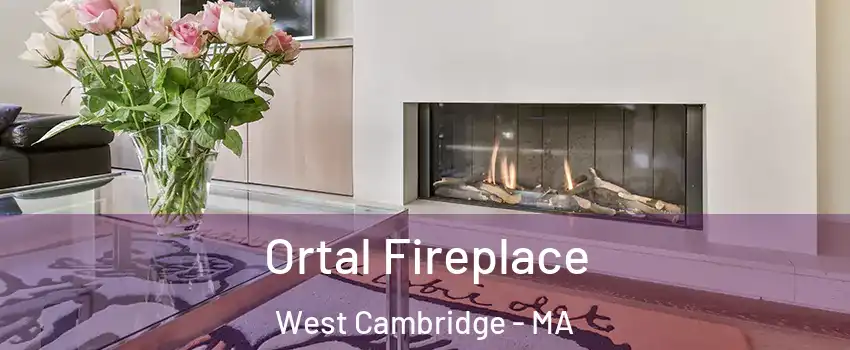 Ortal Fireplace West Cambridge - MA