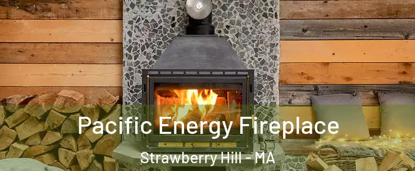 Pacific Energy Fireplace Strawberry Hill - MA