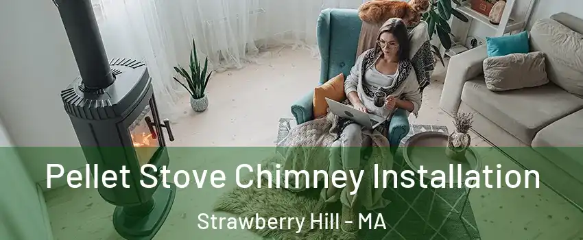 Pellet Stove Chimney Installation Strawberry Hill - MA