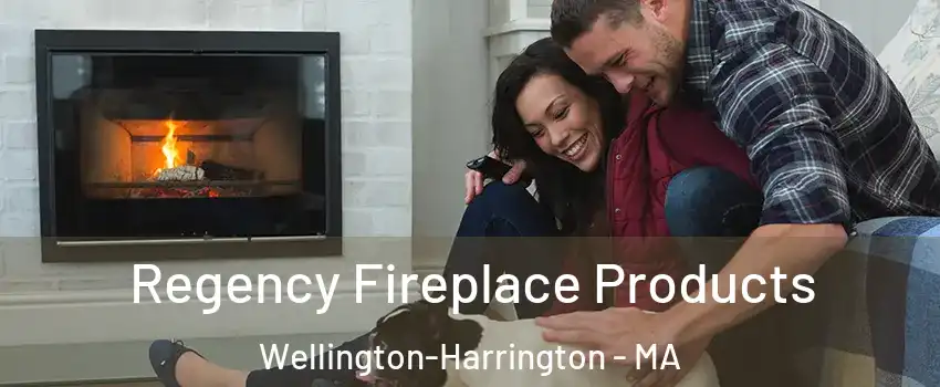 Regency Fireplace Products Wellington-Harrington - MA